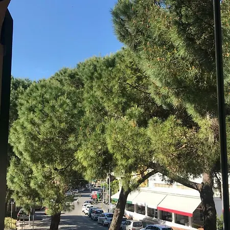 Πανσιόν Il Nido Da Chiara
