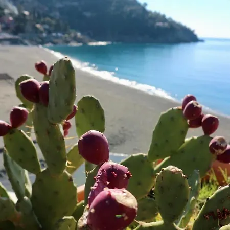 Il Nido Da Chiara Gæstehus La Spezia