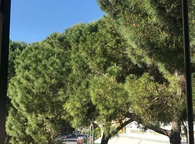 Guest house Il Nido Da Chiara